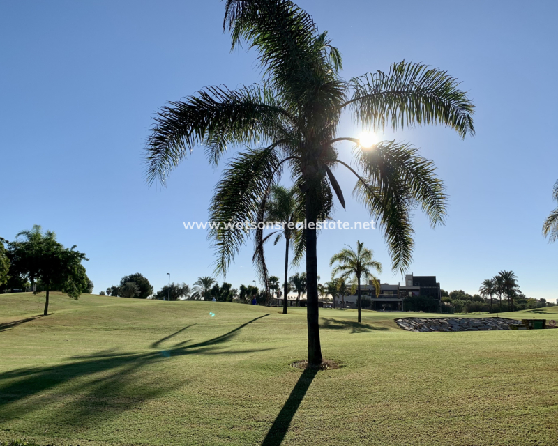 Nueva construcción  - Chalet Independiente - San Javier