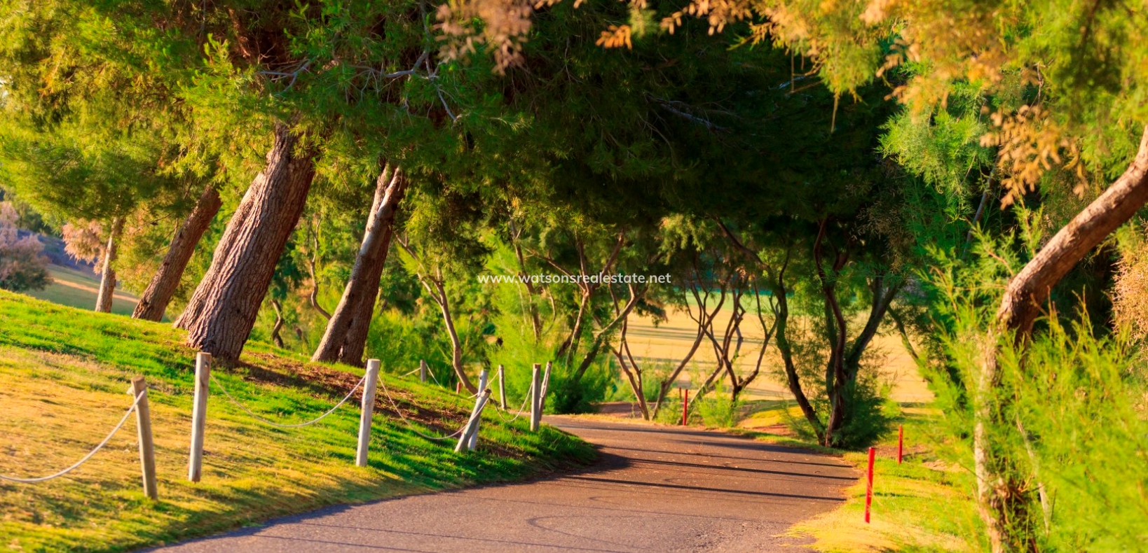 Nueva construcción  - 	Obra Nueva - Pilar de la Horadada - Lo Romero Golf