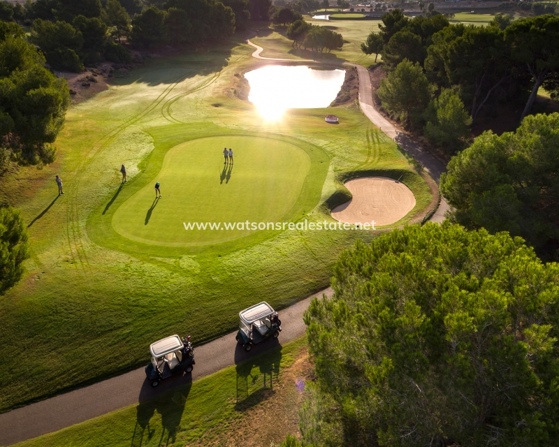 Nueva construcción  - 	Obra Nueva - Pilar de la Horadada - Lo Romero Golf