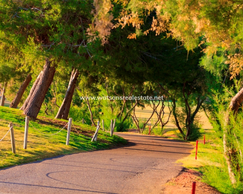 Nueva construcción  - 	Obra Nueva - Pilar de la Horadada - Lo Romero Golf