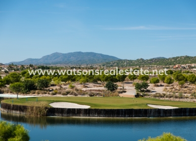 	Obra Nueva - Nueva construcción  - San Javier - Altaona Golf