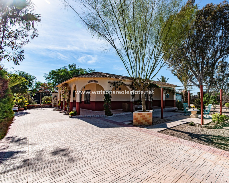 Resale - Detached - Partida Daimes - Elche