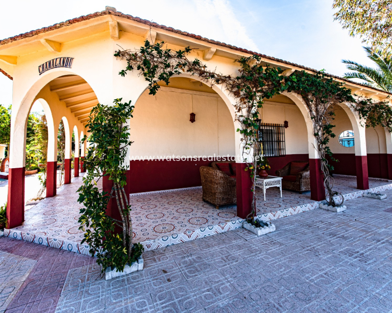 Resale - Detached - Partida Daimes - Elche