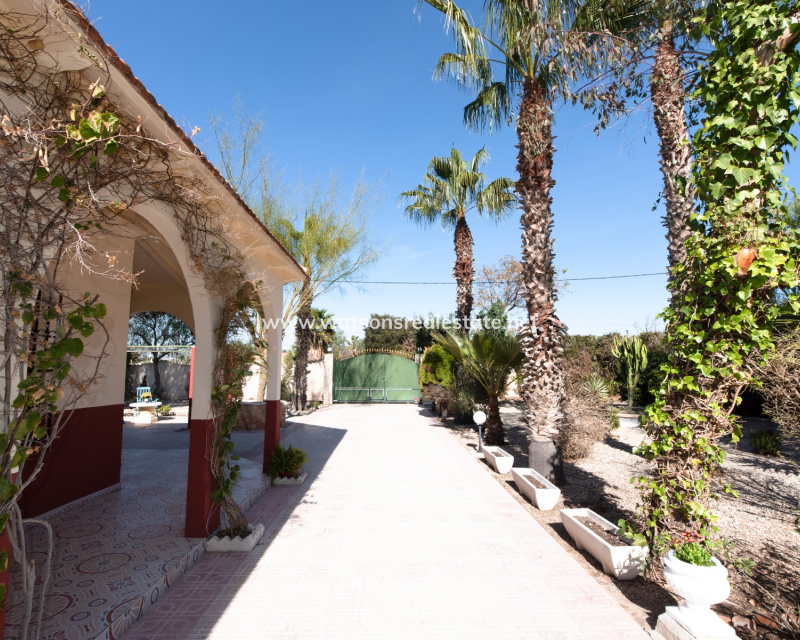 Resale - Detached - Partida Daimes - Elche