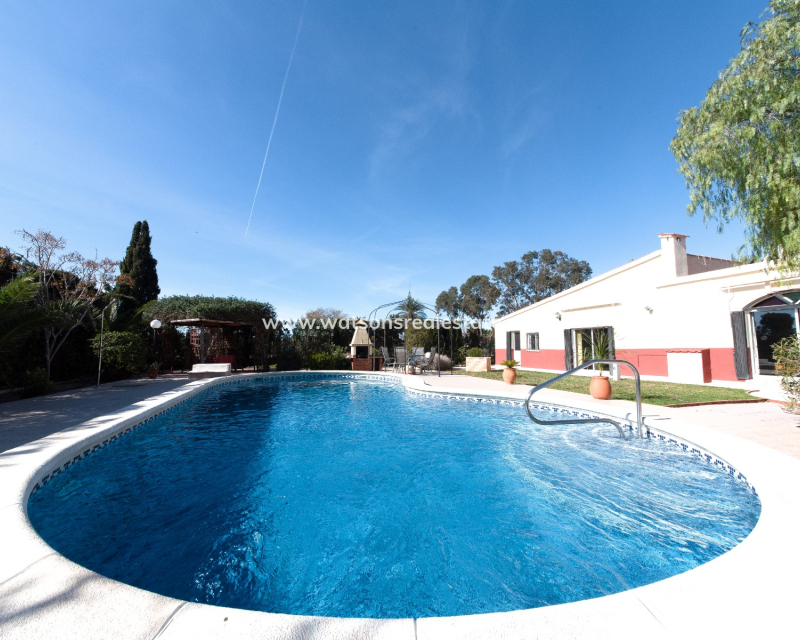Resale - Detached - Partida Daimes - Elche