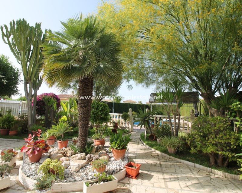 Resale - Detached - Urb. El Oasis - La Marina