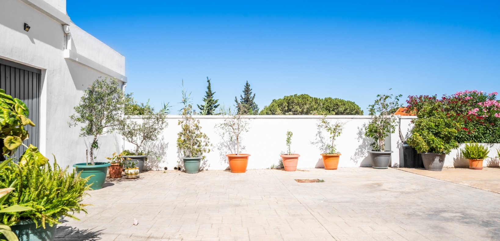 Resale - Detached - Urb. El Oasis - La Marina