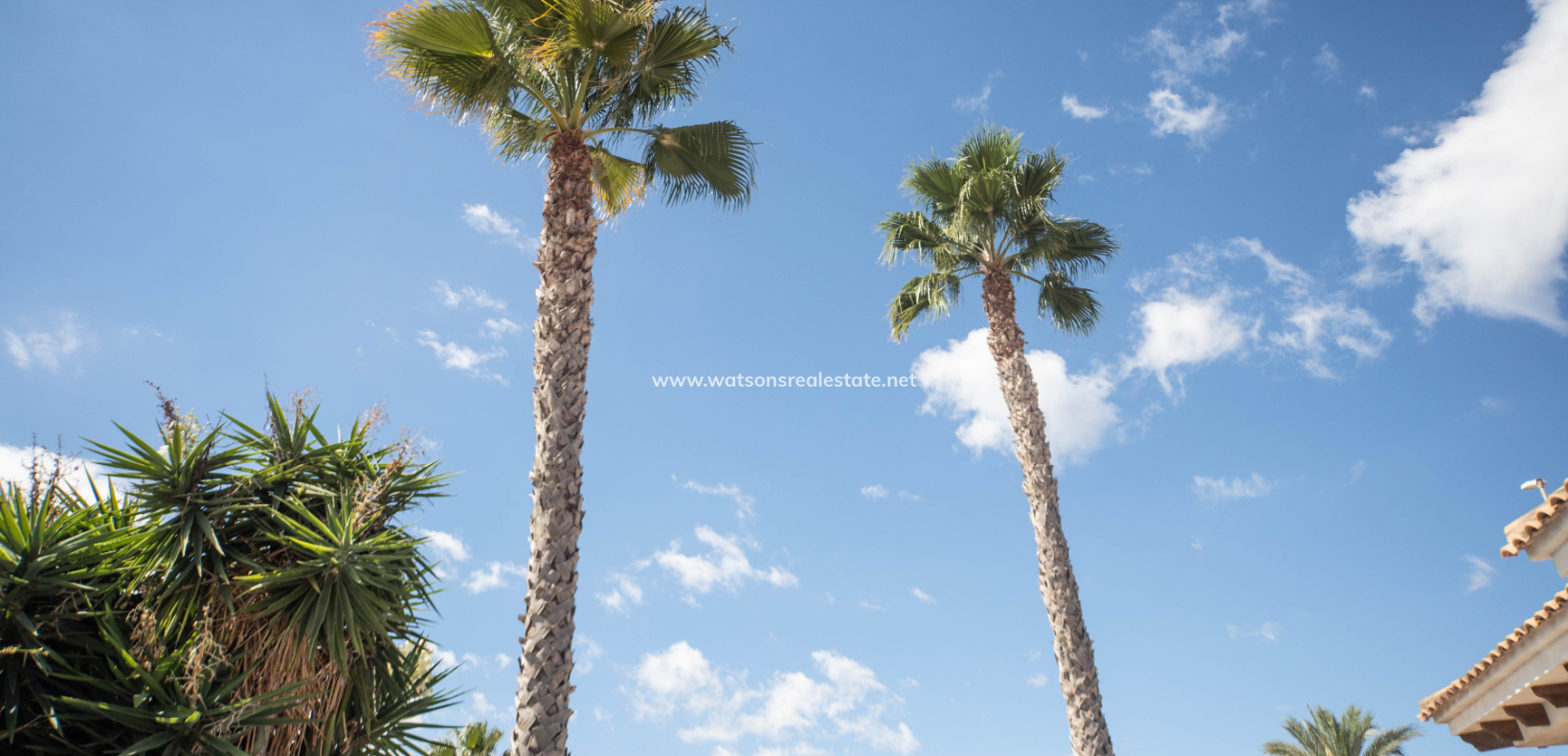 Resale - Detached - Urb. La Marina