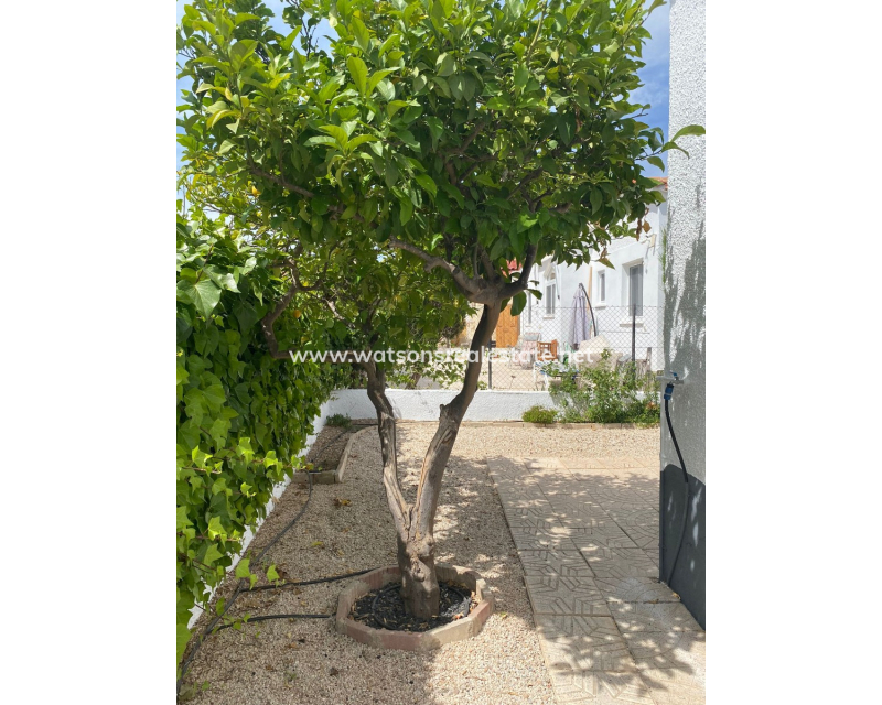 Resale - Detached - Urb. La Marina