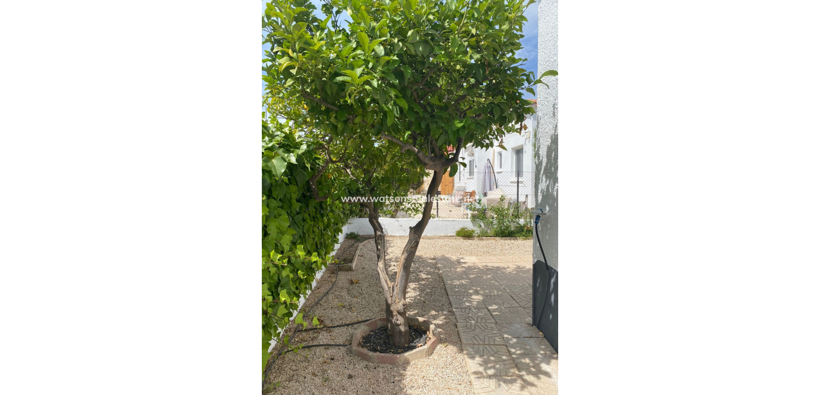 Resale - Detached - Urb. La Marina
