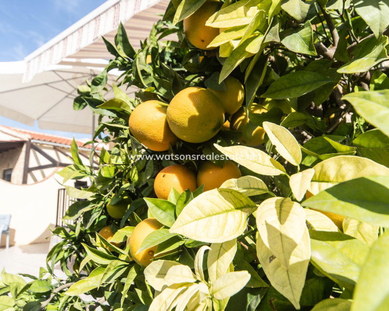 Resale - Detached - Urb. La Marina