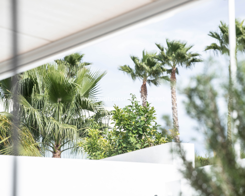 Resale - Detached - Urb. La Marina