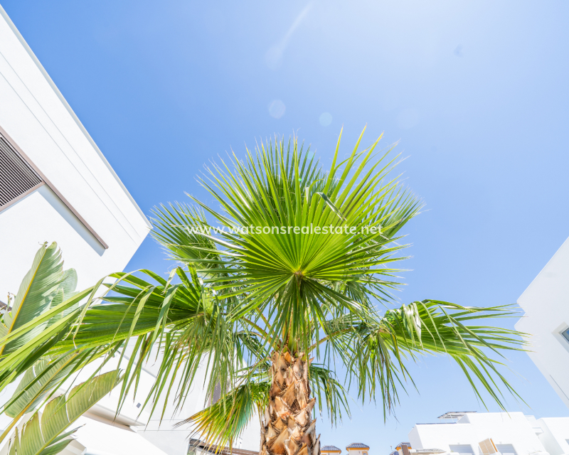 Resale - Detached - Urb. La Marina