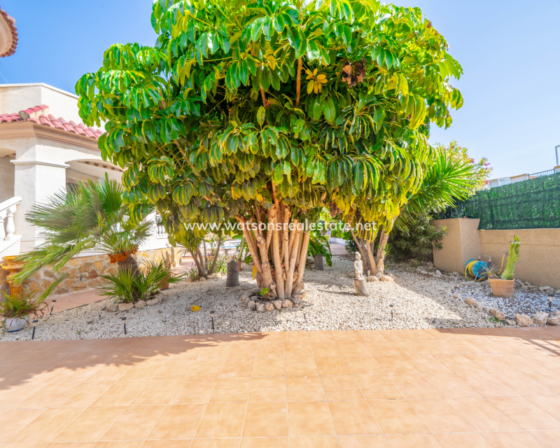 Resale - Detached - Urb. La Marina