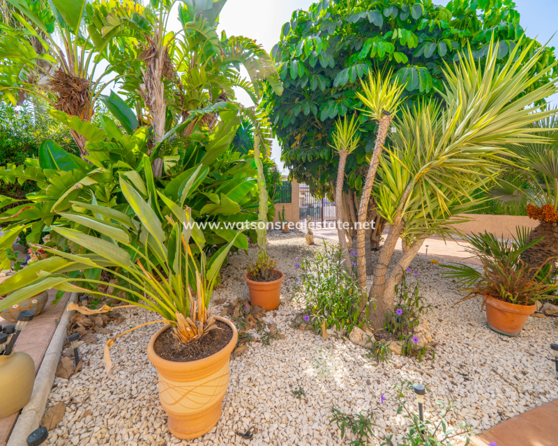 Resale - Detached - Urb. La Marina