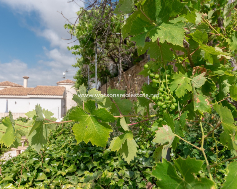 Resale - Freistendhe Villa - Urb. La Escuera