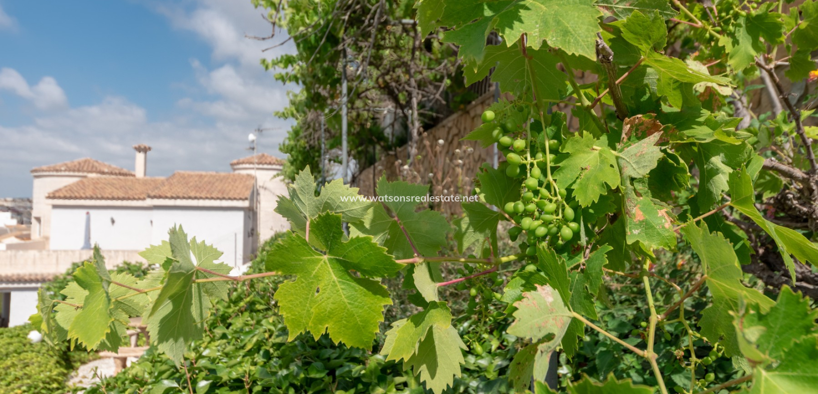 Resale - Freistendhe Villa - Urb. La Escuera