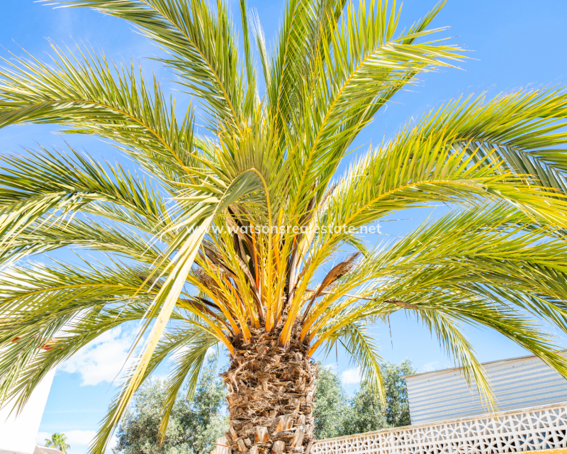 Resale - Freistendhe Villa - Urb. La Marina