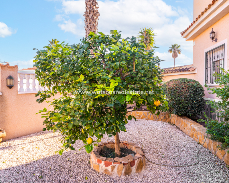 Resale - Freistendhe Villa - Urb. La Marina