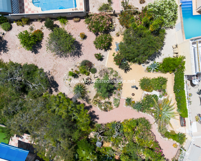 Resale - Freistendhe Villa - Urb. La Marina