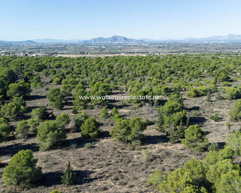 Resale - Fristaende Villa - Urb. La Marina