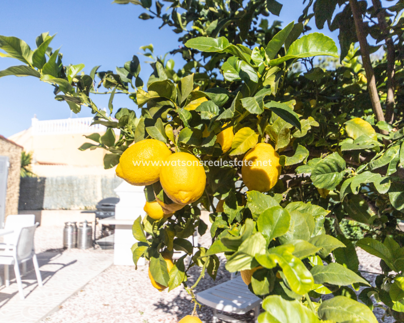 Resale - Fristaende Villa - Urb. La Marina