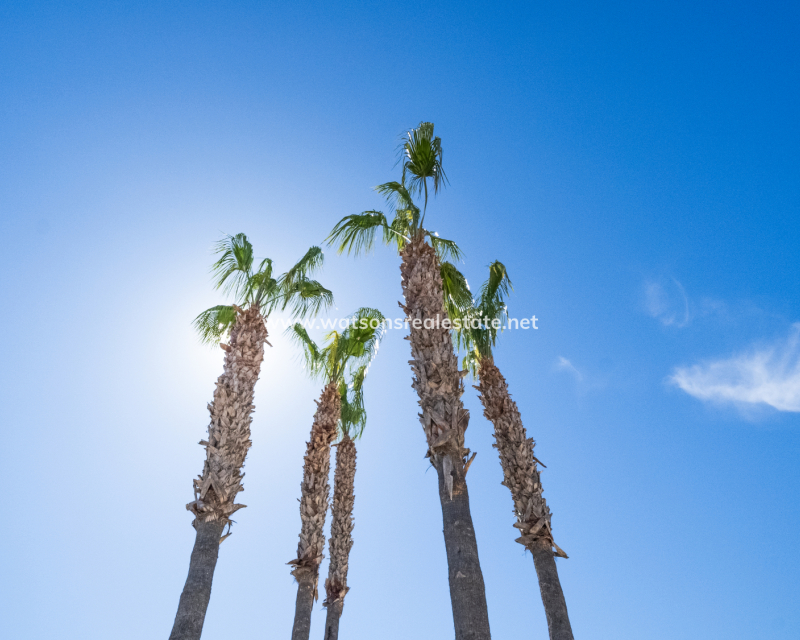 Resale - Fristaende Villa - Urb. La Marina