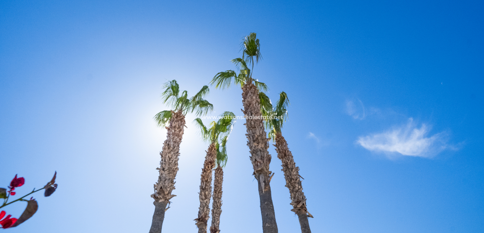 Resale - Fristaende Villa - Urb. La Marina