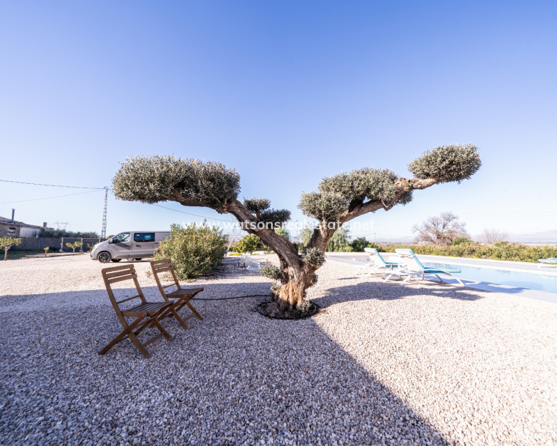 Resale - Fristaende Villa - Urb. La Marina