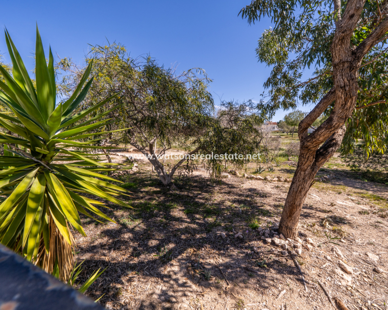 Resale - Fristaende Villa - Urb. La Marina