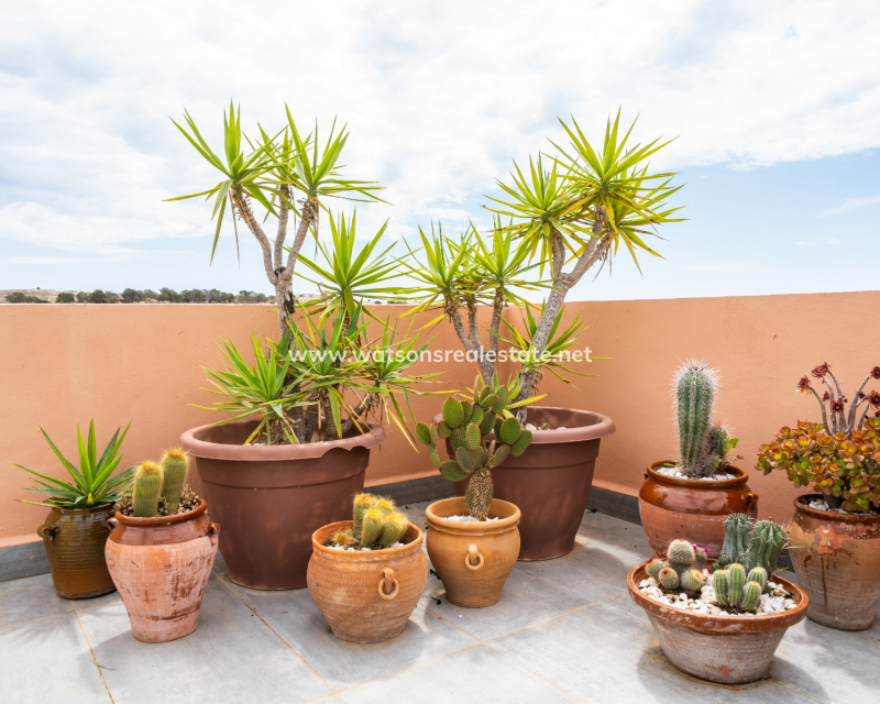 Resale - Quad - Urb. La Marina