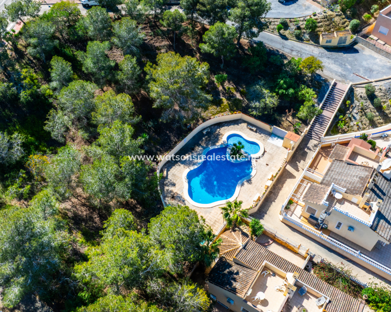 Resale - Reihenhaus - Rojales - Ciudad Quesada