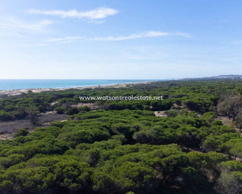 Revente - Apartment - El Pinet Beach