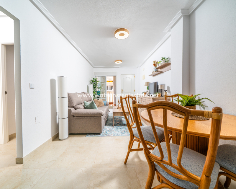 Revente - Apartment - El Pinet Beach