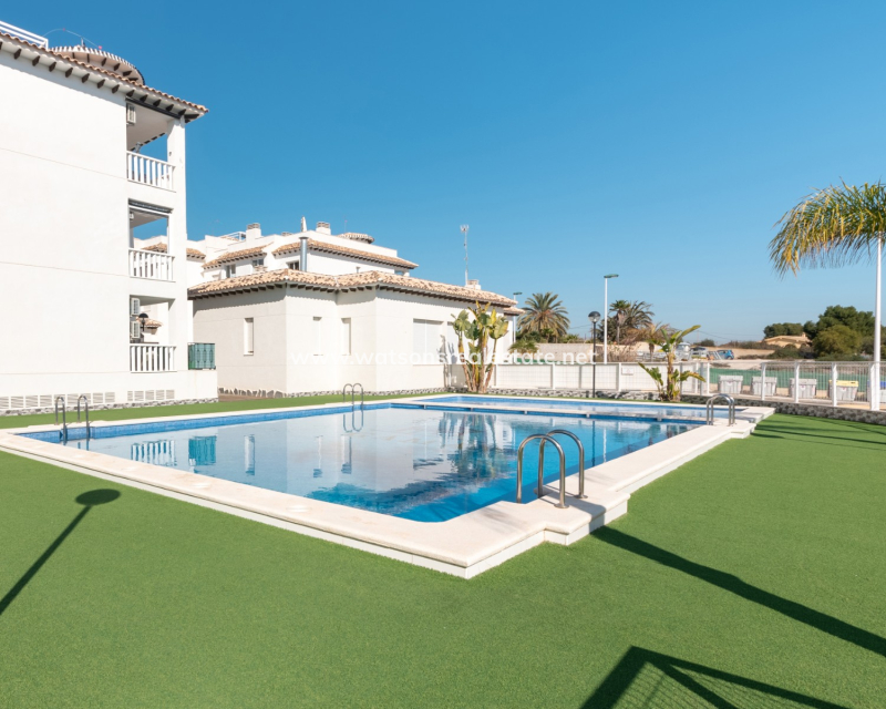 Revente - Appartement - El Pinet Beach