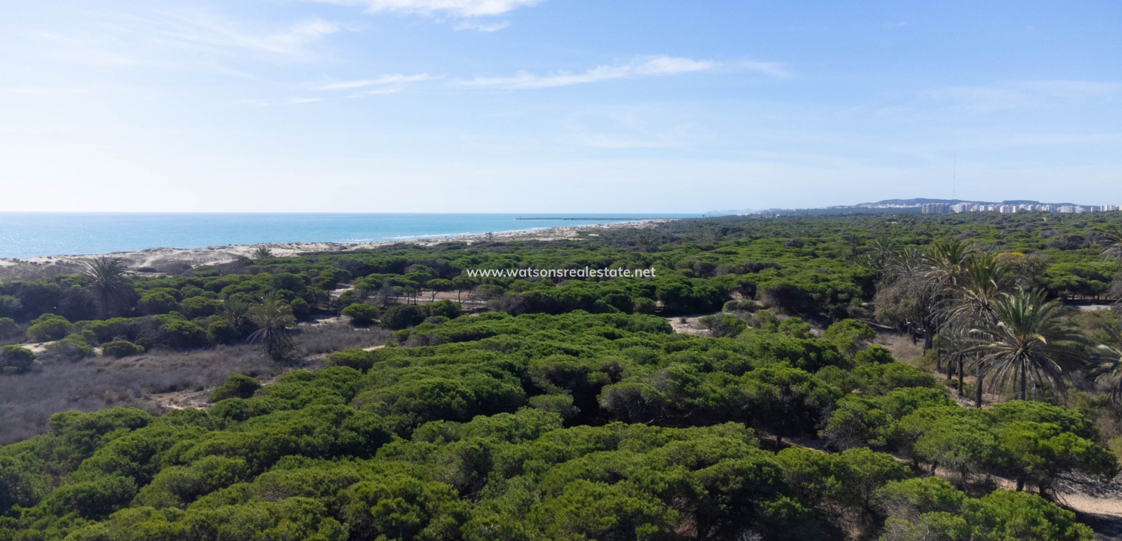 Revente - Appartement - El Pinet Beach