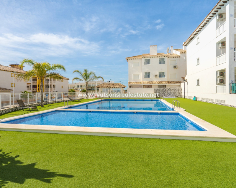 Revente - Appartement - El Pinet Beach