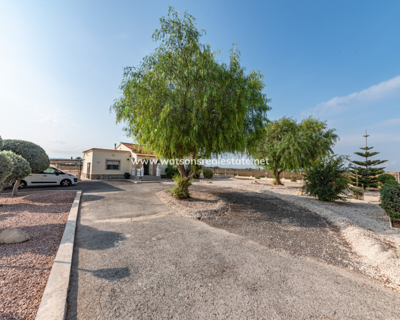 Revente - Maison Individuelle - Elche