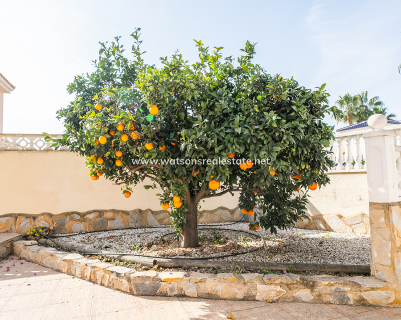 Revente - Maison Individuelle - Urb. La Marina