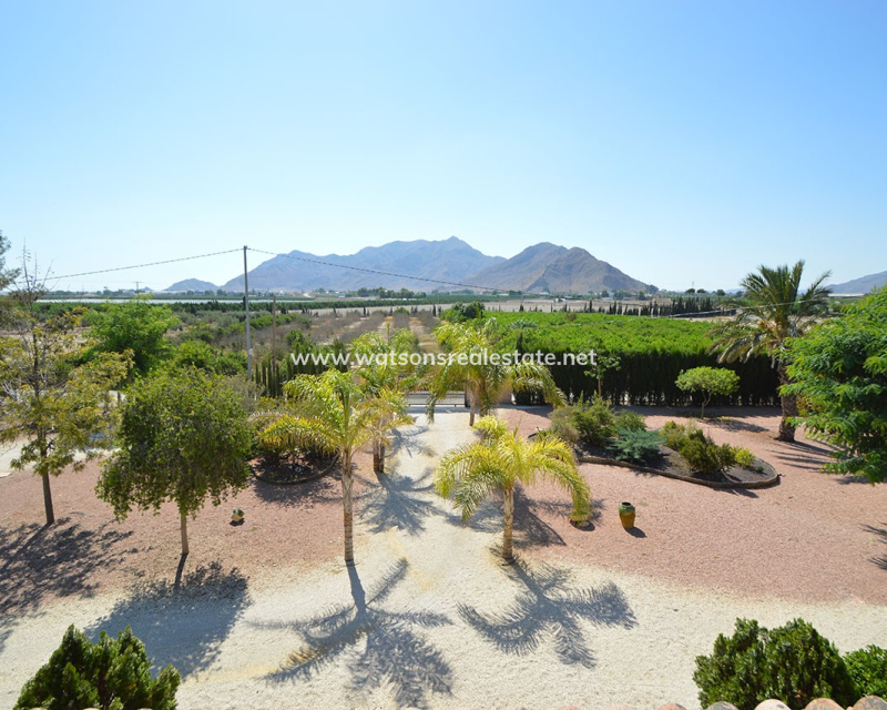 Revente - Vrijstaande Villa - La Callosina