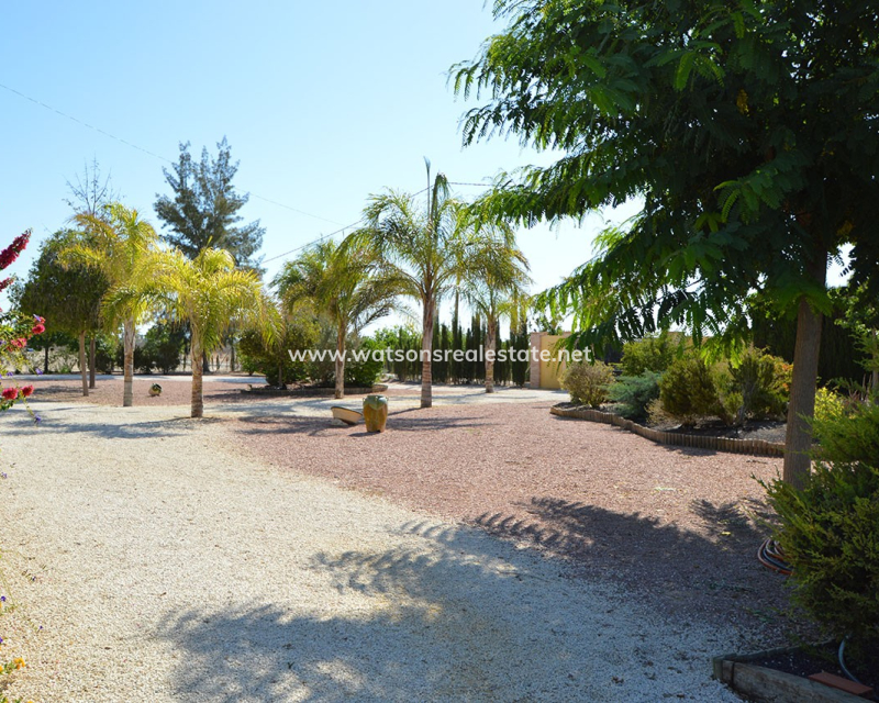 Revente - Vrijstaande Villa - La Callosina