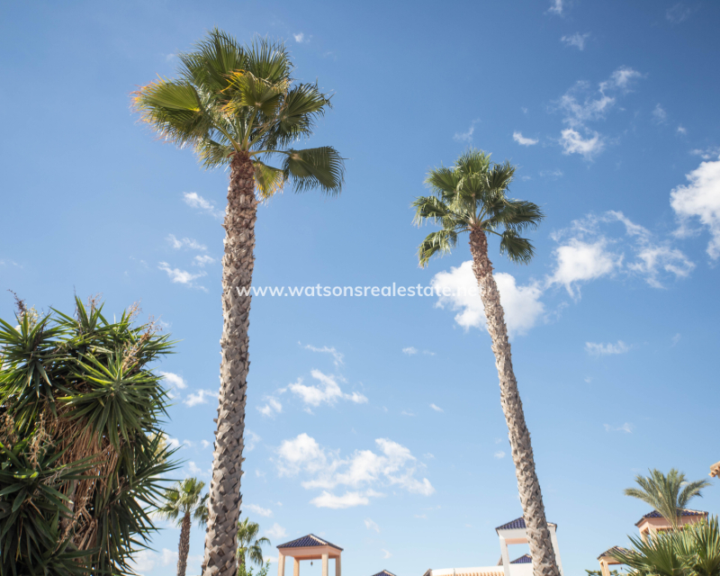 Venta - Chalet Independiente - Urb. La Marina