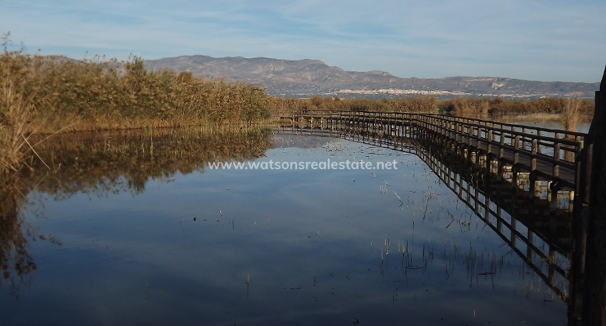 Wilt u graag in de buurt van een natuurreservaat wonen? Onze woningen te koop in La Marina liggen vlakbij het natuurpark El Hondo