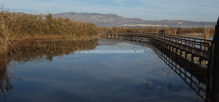 Wilt u graag in de buurt van een natuurreservaat wonen? Onze woningen te koop in La Marina liggen vlakbij het natuurpark El Hondo